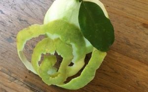 Mơ bổ bưởi đánh con gì