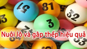 Đánh lô theo đầu câm