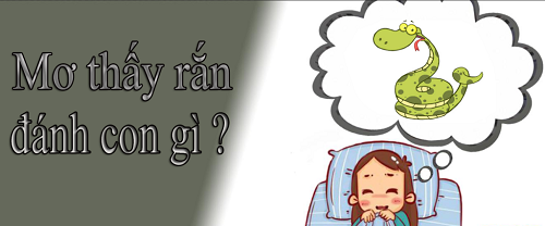 Giấc mơ số đề chính xác