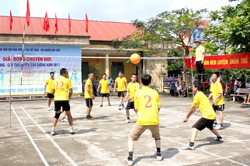 Luật bóng chuyển hơi